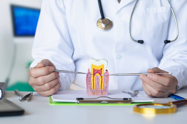 Best Dental Abscess Treatment in Southside Place, TX